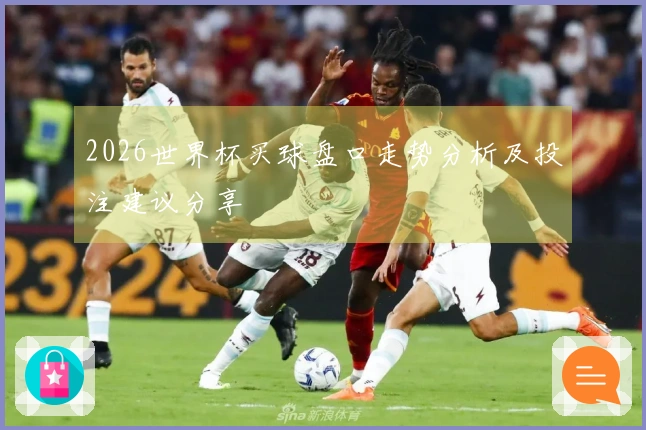 2026世界杯买球盘口走势分析及投注建议分享