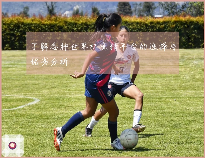 了解各种世界杯竞猜平台的选择与优劣分析